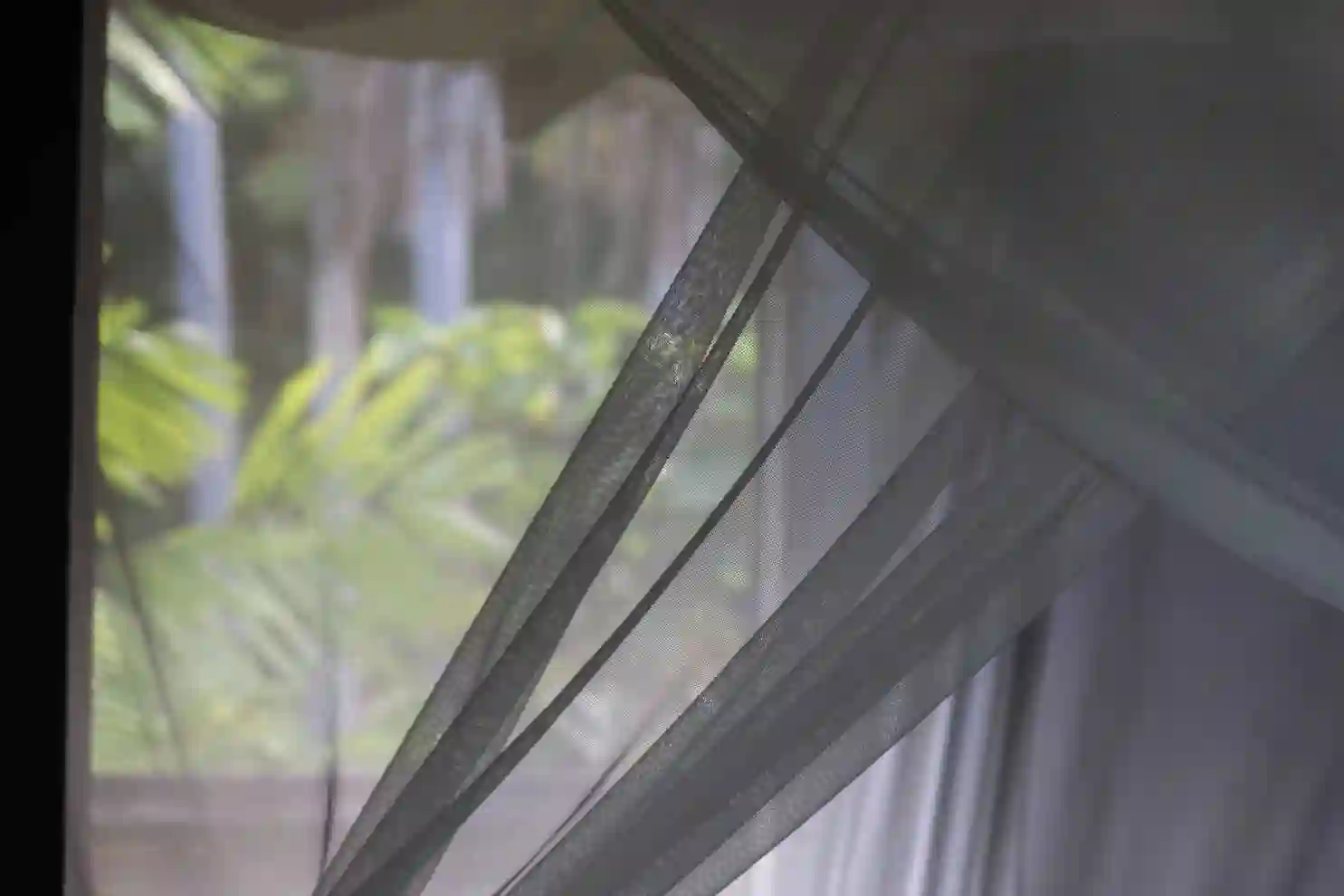 The charm and pleasure of life in a Creole lodge