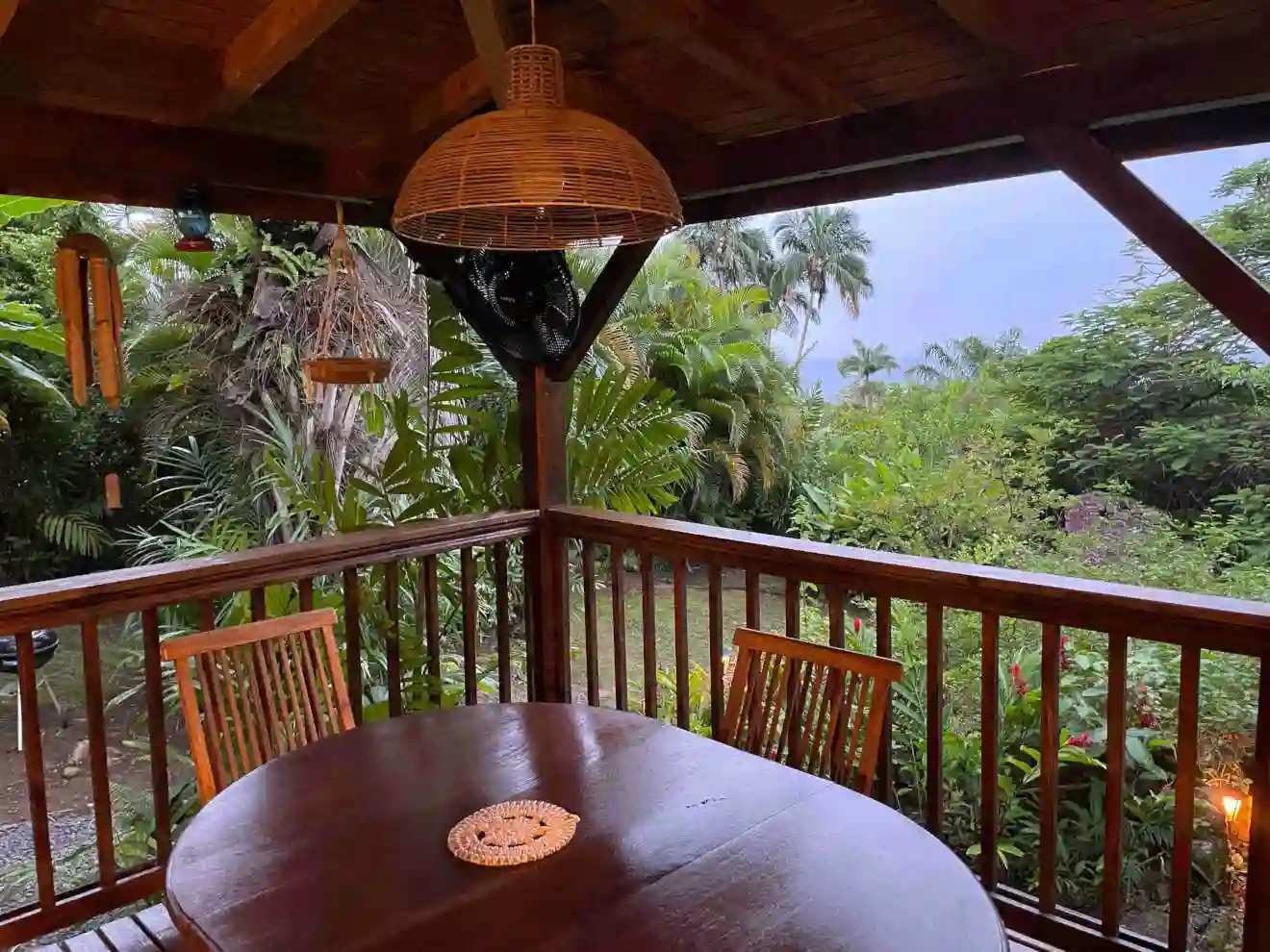 Admire the sunset falling over the Caribbean Sea through the blooming Flamboyant.