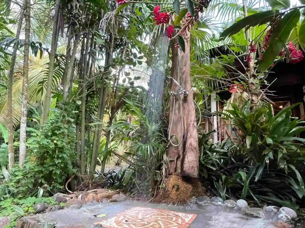 A unique experience, taking a shower outside, surrounded by tropical life
