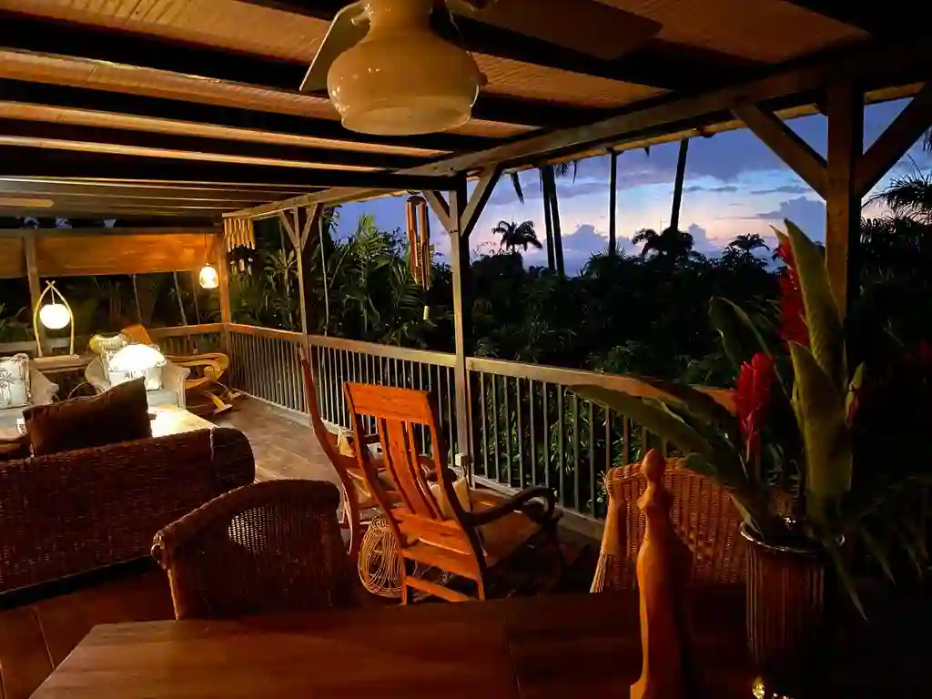 The sunset over the Caribbean Sea seen through the rainforest, unique!.