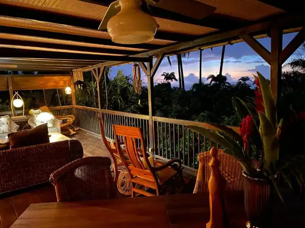 The sunset over the Caribbean Sea seen through the rainforest, unique!.