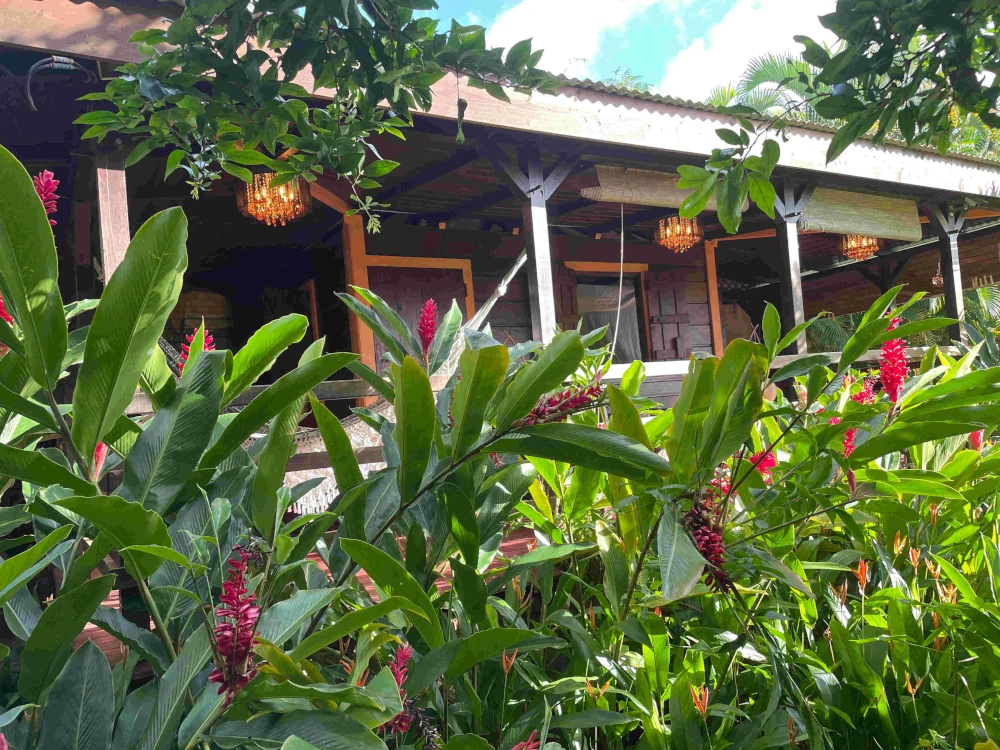6,500 m² tropical garden at Rêve et Alizé in Bouillante